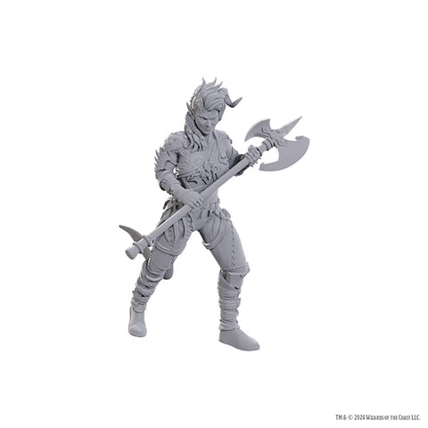 D&D Nolzur's Marvelous Miniatures
