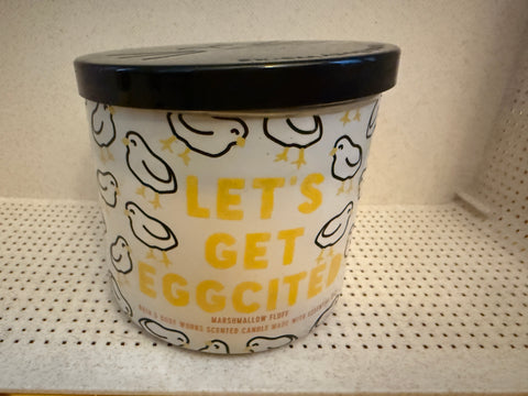 Bath and Body Works Candles - 3 Wick - Single Wick