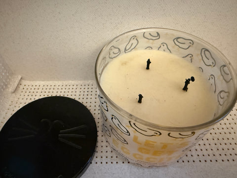 Bath and Body Works Candles - 3 Wick - Single Wick